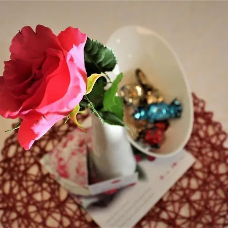 Apartahotel Burbonka