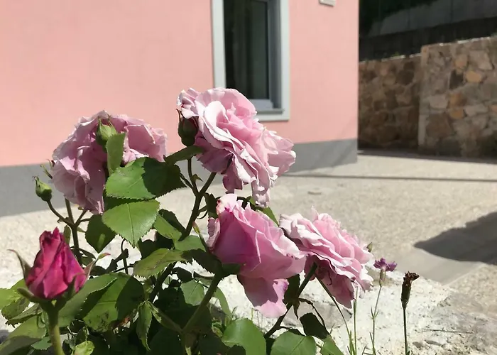 Burbonka 4* Nova Gorica